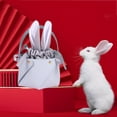 thumbnail image 2 of Huanglei Easter Bunny Party Tote With Handle For Candy Eggs And Holiday Celebration, 2 of 6