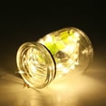 thumbnail image 4 of Cadena de luces de hadas 100 LED Dlight Jadeshay, 4 of 8