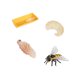 thumbnail image 3 of Ciclo de vida de los juguetes de abejas, juguetes Montessori, figura del ciclo de crecimiento de vida de los animales, educativo para historias, 3 of 9