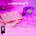 thumbnail image 3 of LAMPHOME 33FT 100LED Milky Globe String Lights, Pink, Clear Wire, 8 Modes, Plug-in with Male-Female Connector, 29V, Indoor Outdoor Decor, 3 of 8