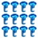 thumbnail image 2 of Worallymy Tornillos para bicicleta Coloridos T25 Tornillos para bicicleta de montaña Acero M5x10mm Herramienta fija para disco de bicicleta, Azul Worallymy JD735800726, 2 of 7