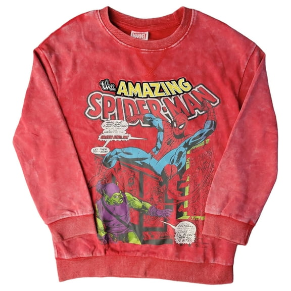 Character Boys Mineral Washed Embroidery Soft and Comfortable Graphic Pullover (Spiderman, XS (4/5))