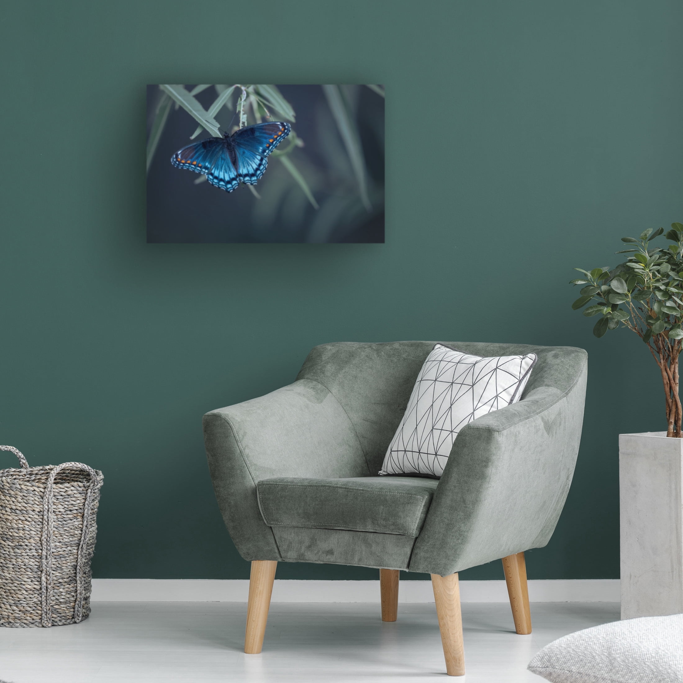 Trademark Fine Art Ivy Deng Butterfly Canvas Wall Art