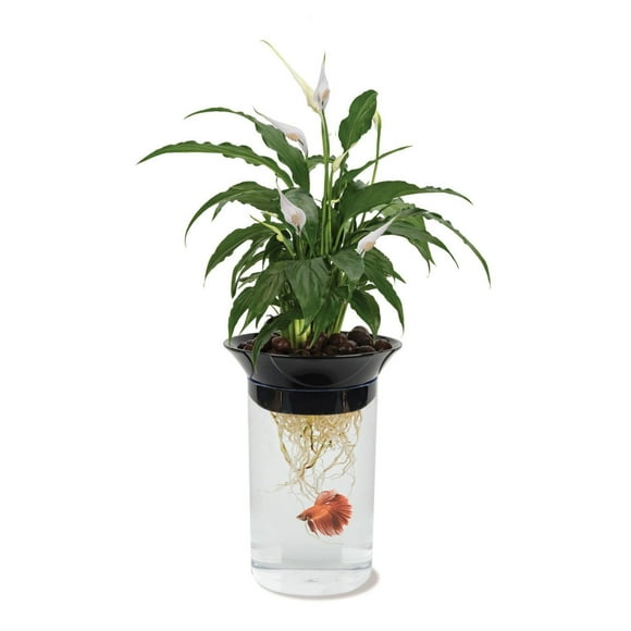 Penn-Plax Aqua-ponic Planter and Aquatic Habitat - Betta Fish Tank - 1.4 Gallons