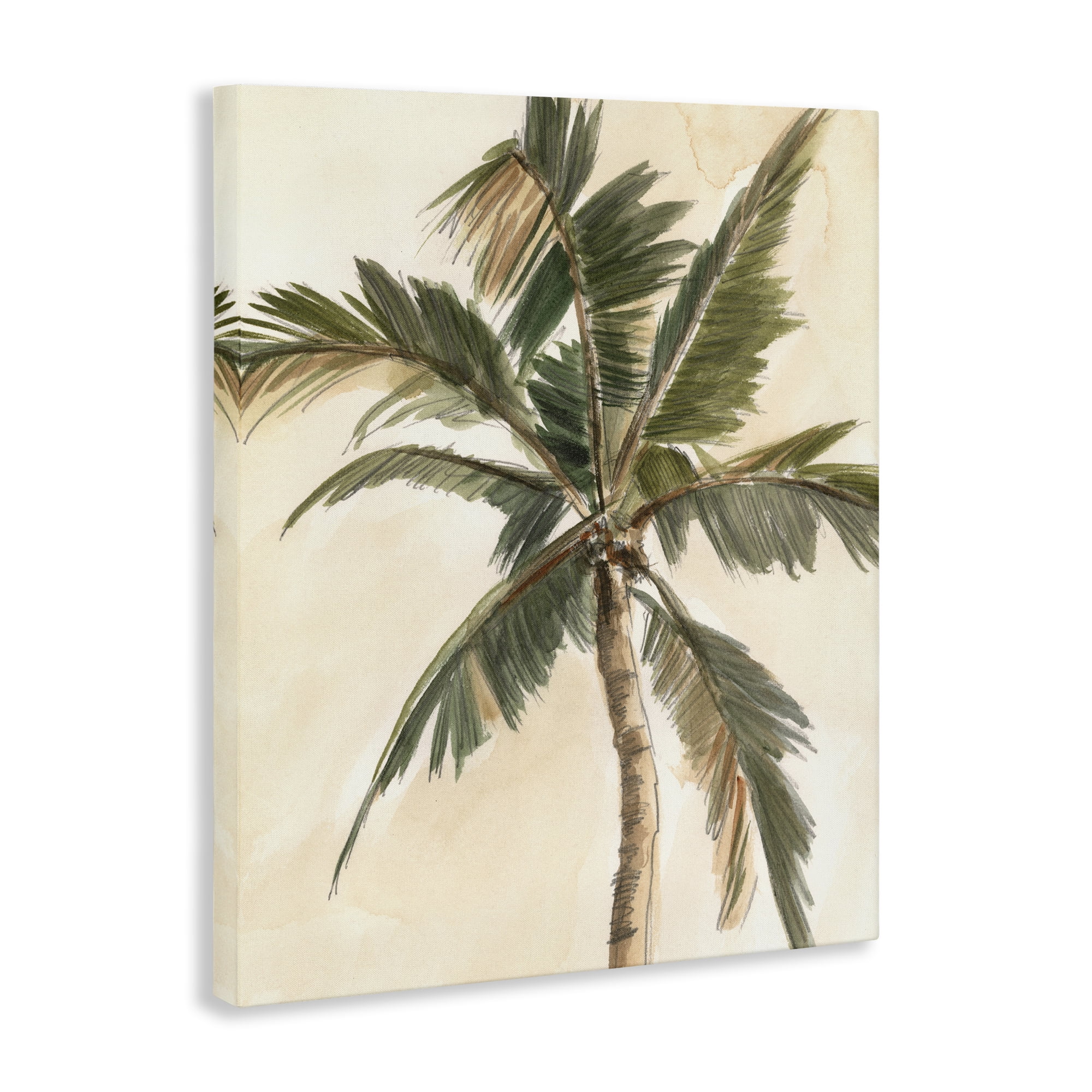 Stupell Industries Muted Palm Tree Plants & Flowers Painting Wrapped Canvas Art Print Wall Art, 24 x 30