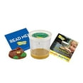 thumbnail image 2 of Insect Lore Cup of Caterpillars - 5 Live Painted Lady Caterpillars with Food - Refill for Butterfly Garden Kit - Stickers & Chrys-A-Lid Holding Log Included - STEM Learning Activity, 2 of 6