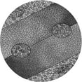 thumbnail image 1 of Ahgly Company Indoor Round Patterned Black Eel Black Area Rugs, 6' Round, 1 of 6
