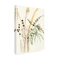 thumbnail image 2 of Jennifer Goldberger 'Composition in Vase II' Canvas Art, 2 of 4