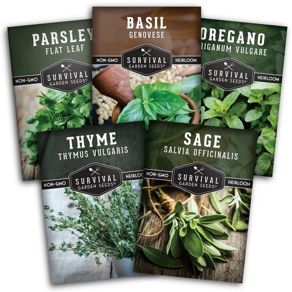 5 Italian Herb Seeds - Basil, Oregano, Thyme, Sage, Parsley - Heirloom Full Sun Perennials & More