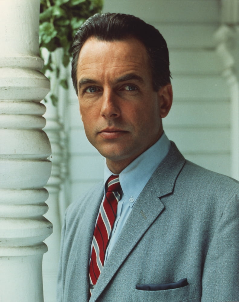 Mark Harmon Portrait in Grey Suit Photo Print (8 x 10) - Walmart.com