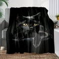 thumbnail image 3 of 1 Pcs Super Soft Black Cat Print Flannel Blanket - All Season Warm And Cozy Multi-Purpose Blanket - Perfect Nap Blanket Luxurious Sofa, Bed, Camping And Travel Gift, 3 of 5