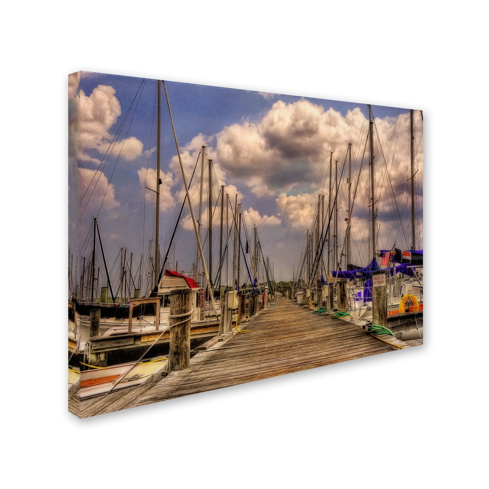 Trademark Fine Art "Pirates Cove" Canvas Art by Lois Bryan
