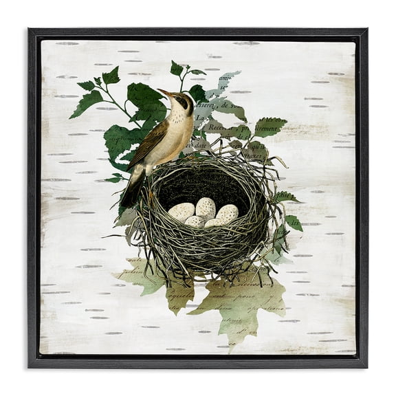 Stupell Industries Vintage Bird Nest & Flora Animals Painting Black Floater Framed Canvas Art Print Wall Art, 18 x 18