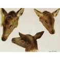 thumbnail image 2 of Rosa Bonheur 14x11 Gold Ornate Wood Frame and Double Matted Museum Art Print Titled - Study of Deer Heads, 2 of 4