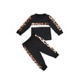 thumbnail image 3 of Bagilaanoe 2pcs Toddler Baby Girl Long Pants Set Leopard Print Long Sleeve T-Shirt Tops + Trousers 1T 2T 3T 4T 5T 6T Kids Casual Outfits, 3 of 8