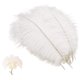 thumbnail image 3 of 10 piezas de plumas de avestruz naturales, para la decoración de la mesa del banquete de boda kaili Sencillez, 3 of 4