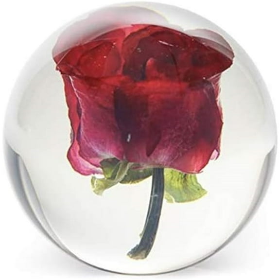FloraCulture Paperweight Red Rose