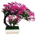 thumbnail image 1 of Realistic Artificial Peacock Bonsai Tree - 24cm Plastic Plant for Home Decor, Office Desk, and Table Centerpiece, 1 of 2