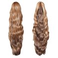 thumbnail image 1 of CanBeauty Ponytail PT-002, 1 of 7