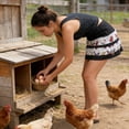 thumbnail image 4 of Chicken Egg Collecting Apron,12 Deep Pockets for Hense,Duck,Goose Eggs, 4 of 7