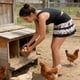 thumbnail image 4 of Contenedores de almacenamiento Delantales de 12 bolsillos profundos para recolectar huevos Delantales estilo granja para llevar huevos Adecuado para huevos de gallina, pato y ganso Para uso de adultos, 4 of 6