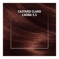 thumbnail image 4 of Tinte para cabello Wella Deluxe con ácido hialurónico 5.5 Castaño Claro Caoba, 4 of 4