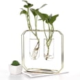 thumbnail image 7 of Yesbay Nordic Metal Stand Test Tube Vase Plant Flower Pot Hydroponic Planter Home Decor, 7 of 7