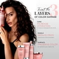 thumbnail image 4 of Kerastase Chroma Absolu Bain Riche Chroma Respect Shampoo 8.5oz/250ml, 4 of 14