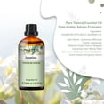 thumbnail image 2 of PHATOIL 30ml/1.01 fl.Oz Jasmine Essential Oils for Diffusers Humidifier 100% Pure Natural Aromatherapy Massage Bath Sleep Relaxation, 2 of 6