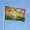 Dragonfly, variant on Vintage Banjo Frog Garden Flags for Outside 3x5 Ft Double Sided Large House Flag Retro Moon Night Frogs Flags Housewarming Gifts for Women Men Adults House Yard Outdoor Patio Decor