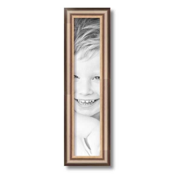 ArtToFrames 4x19" Anique Silver Picture Frame, Silver Wood Poster Frame, with Regular Glass and 2 (FBPL-4964)