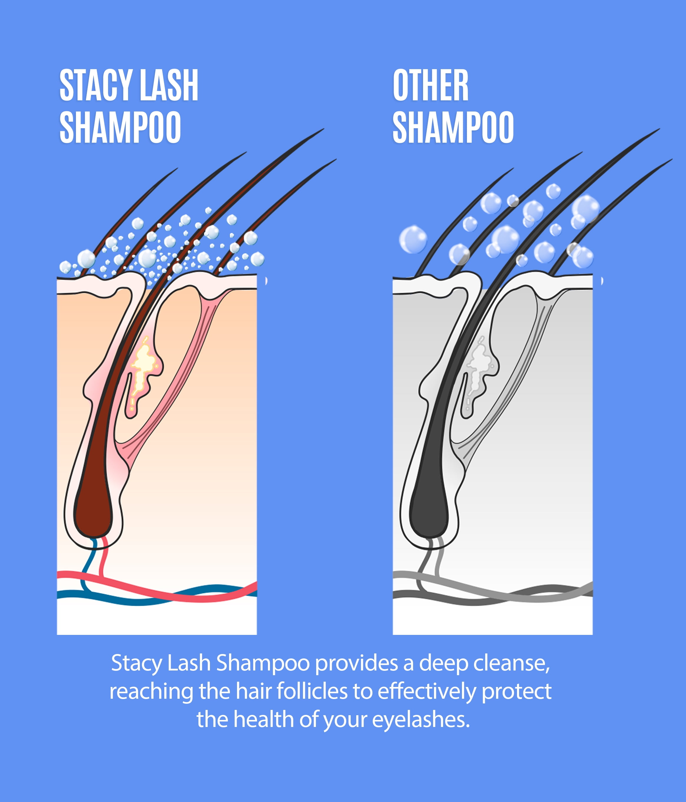 Eyelash Extension Shampoo Stacy Lash + Brush / 50ml / Eyelid Foaming Cleanser/Wash for Extensions and Natural Lashes/Paraben & Sulfate Free Safe Makeup & Mascara Remover/Profession