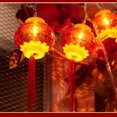 thumbnail image 3 of Wosthever Decoración de luces LED ampliamente utilizada para el Año Nuevo Lunar Decoraciones de Año Nuevo Lunar Luces decorativas Kits de decoración para fiestas, 3 of 6