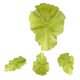 thumbnail image 1 of Comida artificial Zulema 4 piezas de lechuga decoración del hogar, 1 of 8