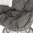 Adaline Outdoor Wicker Swivel Egg Chair with Cushion, Gray, DarkGray