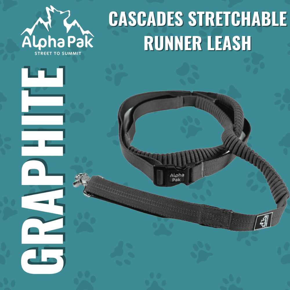 Alpha Pak | Cascades Stretchable Runner Dog Leash | Hands-Free | Reflective | Durable | 6-10 ft. Stretched | Graphite