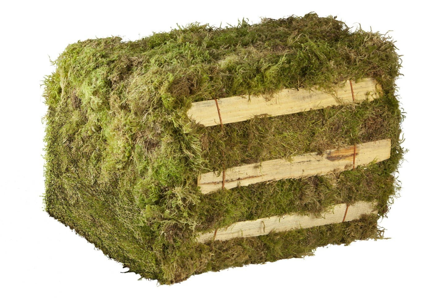 Hiawatha 100055140 Evergreens Green Moss Bale 3.25cu ft, 3.25 cu