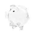 thumbnail image 5 of Kokiya 2 Glass Piggy Banks Lovely Money Saving Box for Birthday Clear and Black, 5 of 9