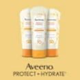 thumbnail image 3 of Aveeno Protect + Hydrate Face Sunscreen Lotion with SPF 30, 3 oz, 3 of 19