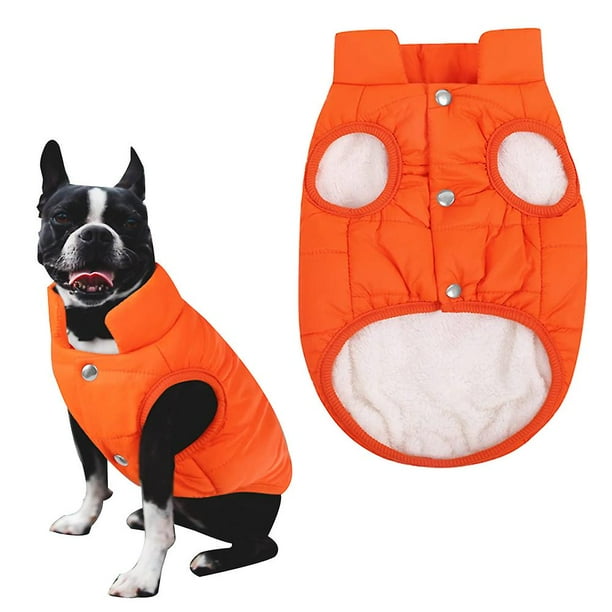 m Ropa Acolchada Para Mascotas Ropa Para Perros Simple Y De Moda Xs