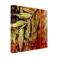 thumbnail image 2 of Trademark Fine Art 'Fillmore I' Canvas Art by Danielle Harrington, 2 of 4