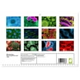 thumbnail image 2 of Microbiology. Microorganisms and cells (Monthly Wall Calendar 2026 16.5 x 23.4 (open)), CALVENDO 14 Month Calendar, 2 of 9
