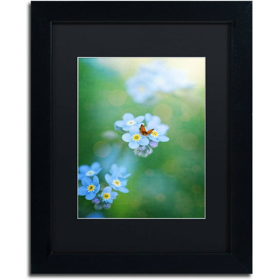 Trademark Fine Art "Forget-Me-Not" Canvas Art by Philippe Sainte-Laudy, Black Matte, Black Frame