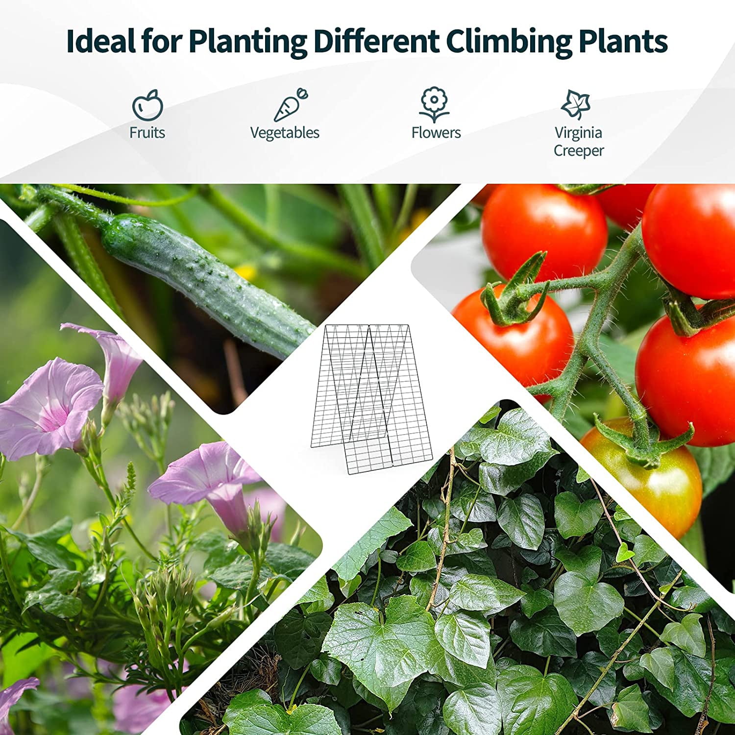 Cucumber Trellis, 8-Panel Metal Plant Support w/Rustproof PP-Coated A-Frame, Clips, Stakes, Spiral Connectors, Cable Tie & Twist Tie, Garden Trellis for Climbing Plants Outdoor Raised Bed