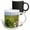 Multicolor, variant on 3drose, Wa, Yakima Valley, Syrah Grapes, Red Willow Vineyard - Us48 Rti0195 - Rob Tilley, 15oz Mug