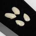 thumbnail image 4 of Adult Werewolf Teeth, 4 of 4