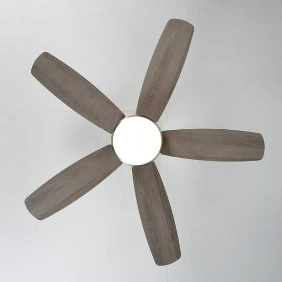 52 Inch 5 Blade Reversible Ceiling Fan with LED Light Kit, DC Motor, 6 Speeds, Remote Control for Indoor Outdoor Use in Living Room Bedroom Office Patio, Silver and Brushed Gold Finish
