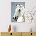 thumbnail image 2 of wall26 - Canvas Wall Art - White Horse Portrait - Giclee Print Gallery Wrap Modern Home Art Ready to Hang - 12x18 inches, 2 of 4
