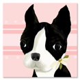 thumbnail image 1 of Arte mural Oopsy Daisy Boston Terrier 25 x 25 cm en lienzo, 1 of 1