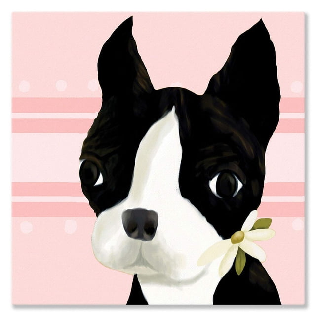Arte mural Oopsy Daisy Boston Terrier 25 x 25 cm en lienzo